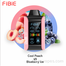 फाइबी vape 15000puffs geekbar15000puffs randm9000puffs